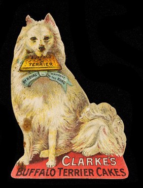 Clarke's Buffalo terrier cakes.