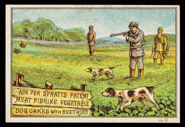 Spratts dog outlet cakes