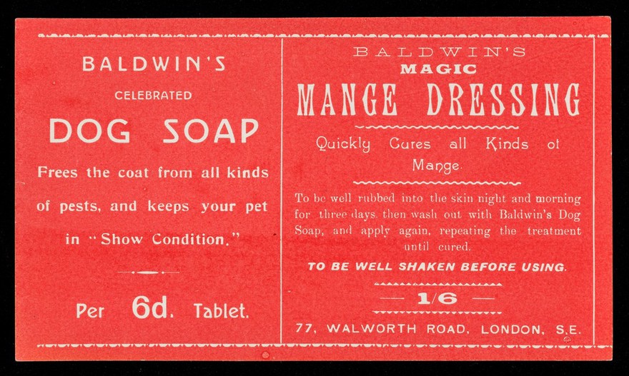 Baldwin's celebrated dog soap : frees the coat from all kinds of pests, and keeps your pet in "show condition" : per 6d. tablet : Baldwin's mange dressing : quickly cures all kinds of mange...