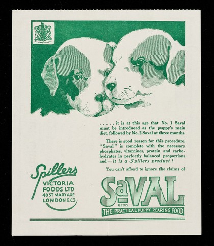Registration certificate No. 44984/26... / The Kennel Club.