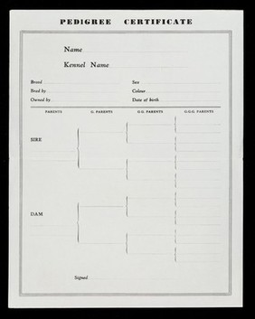 Pedigree certificate : reared on Stamina dog foods / Stamina Foods Ltd.