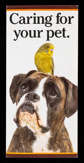 Caring for your pet / Seven Seas Veterinary Division.