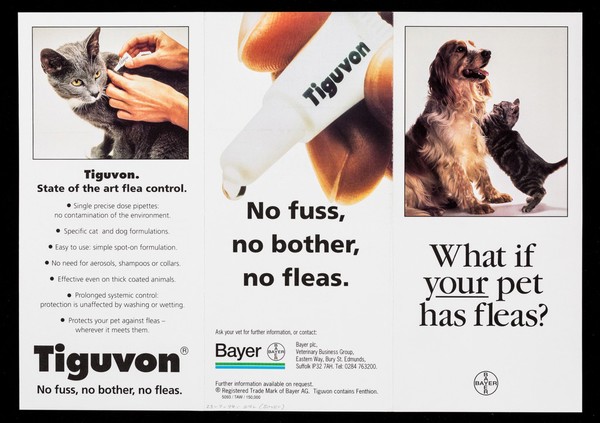 What if YOUR pet has fleas? / Bayer.