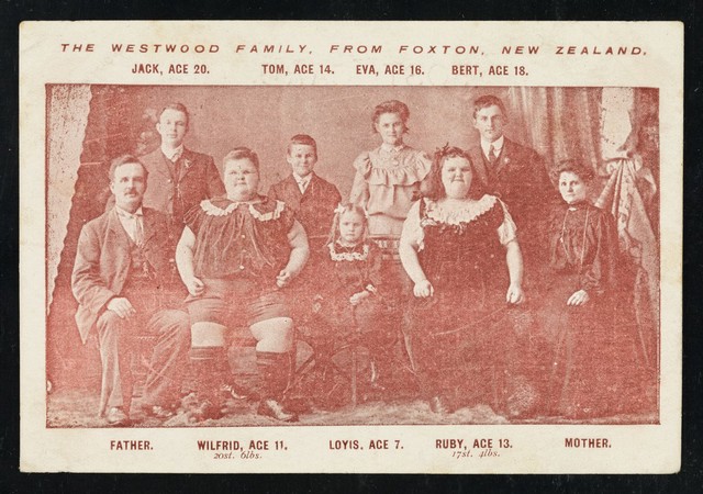 digitised image 1