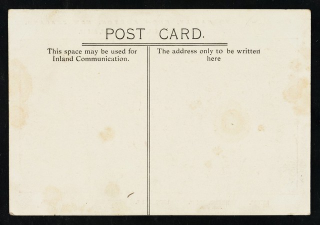 digitised image 2