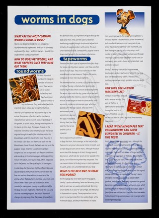 All about worms in cats and dogs : the answers to your questions / Sherley's Ltd.