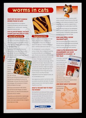 All about worms in cats and dogs : the answers to your questions / Sherley's Ltd.