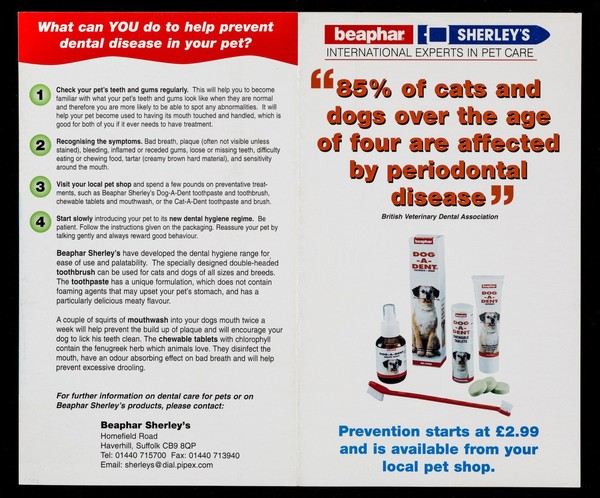 "85% of cats and dogs over the age of four are affected by periodontal disease" British Veterinary Dental Association : prevention starts at £2.99 and is available from your local pet shop / Beaphar Sherley's.