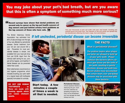 "85% of cats and dogs over the age of four are affected by periodontal disease" British Veterinary Dental Association : prevention starts at £2.99 and is available from your local pet shop / Beaphar Sherley's.