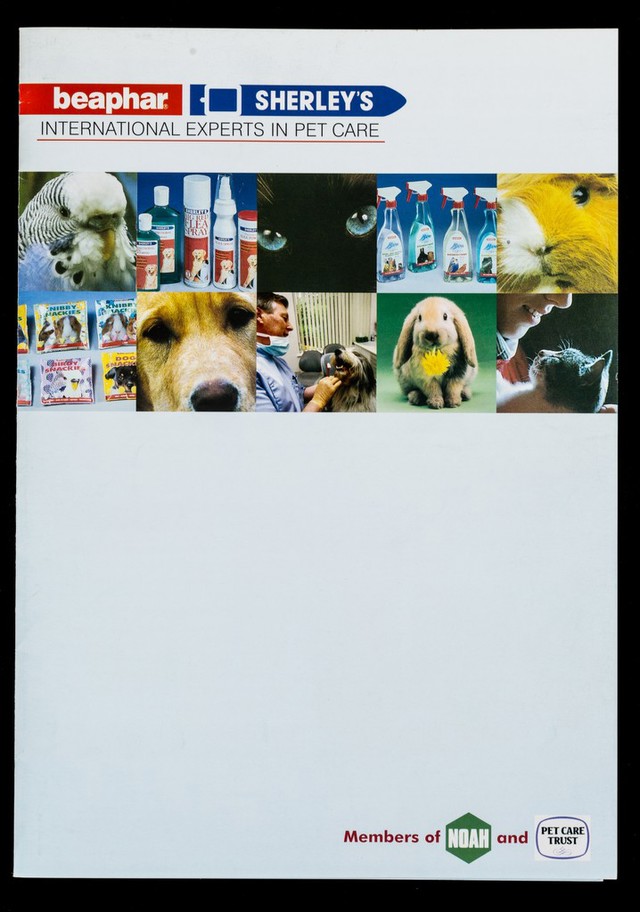 No text description is available for this image