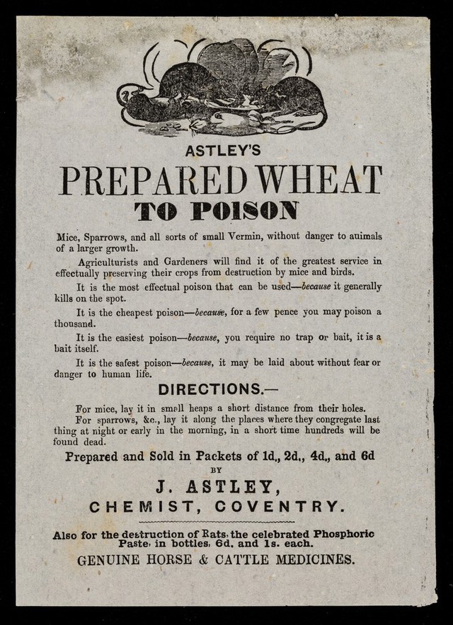 digitised image 1