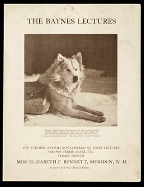 The Baynes lectures / for further information concerning these lectures and for terms, dates, etc. please address Miss Elizabeth F. Bennett, Meriden N.H.