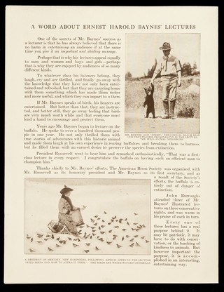 The Baynes lectures / for further information concerning these lectures and for terms, dates, etc. please address Miss Elizabeth F. Bennett, Meriden N.H.