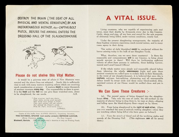 A vital issue / Alfred Brisco.