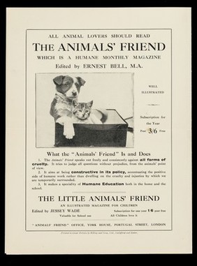 "The Animals' Friend" kindness cards / Animals' Friend Society.