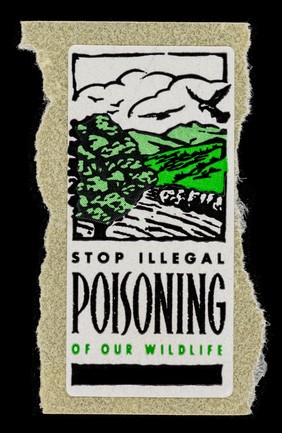 Stop illegal poisoning of our wildlife / [Dept. of the Environment].