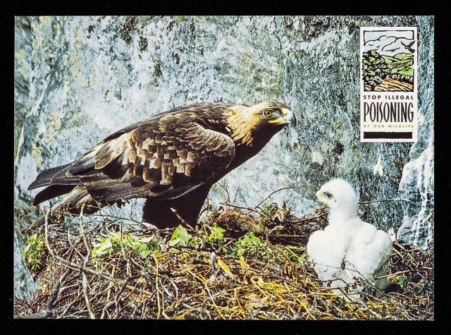 digitised image 1