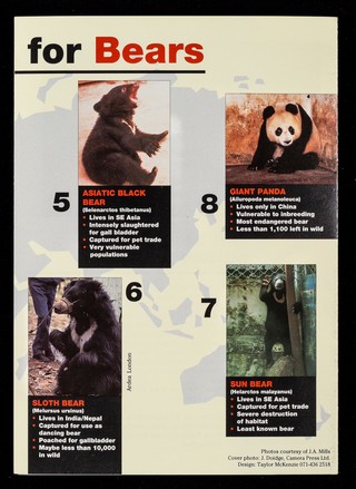 The world campaign for bears / Libearty: World Society for the Protection of Animals.