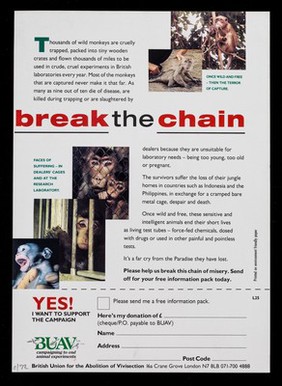 Paradise lost : break the chain / BUAV.