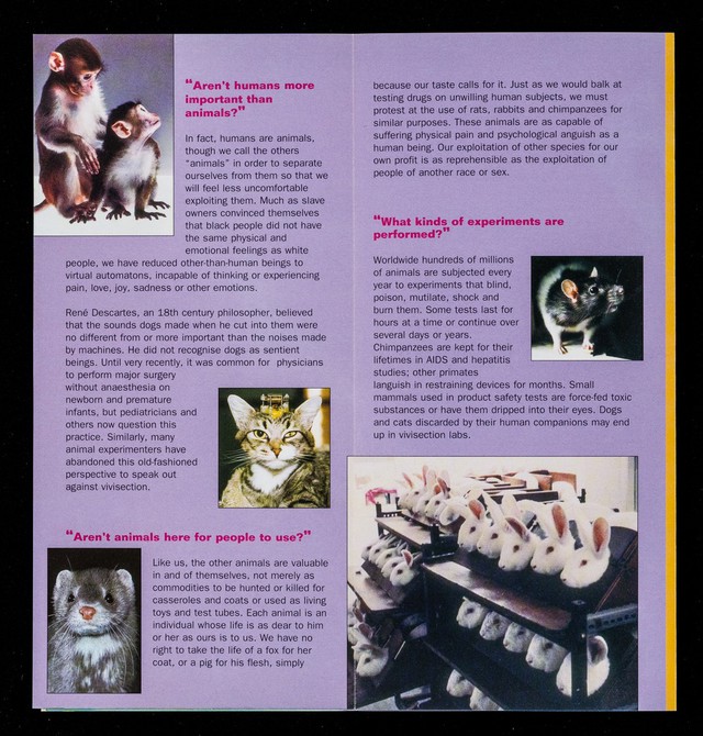 Animal rights : why should it concern me? / People for the Ethical Treatment of Animals. | Wellcome Collection Animal rights : why should it concern me? / People for the Ethical Treatment of Animals. | Wellcome Collection