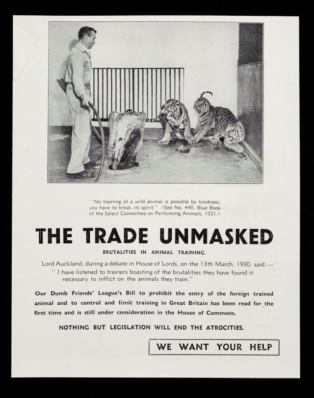digitised image 1