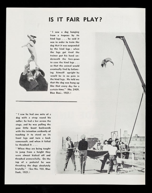 digitised image 2