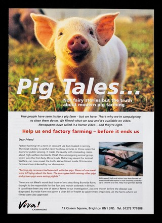 Pig tales... : not fairy stories but the truth about modern pig farming ... help us end factory farming - before it ends us / Juliet Gellatley.