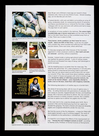Pig tales... : not fairy stories but the truth about modern pig farming ... help us end factory farming - before it ends us / Juliet Gellatley.