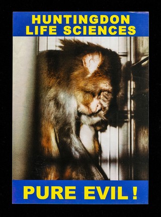 Huntingdon Life Sciences : pure evil! / Stop Huntingdon Animal Cruelty.