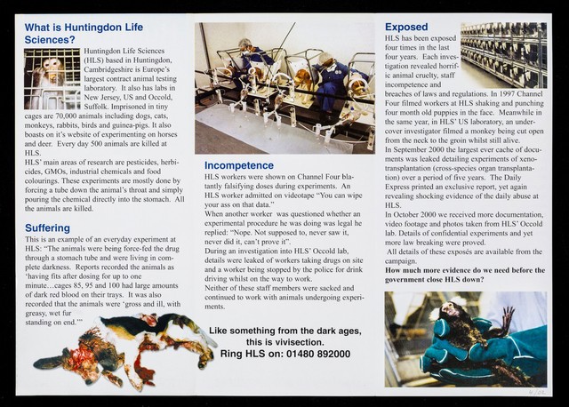 Huntingdon Life Sciences : animal killers / Stop Huntingdon Animal Cruelty.