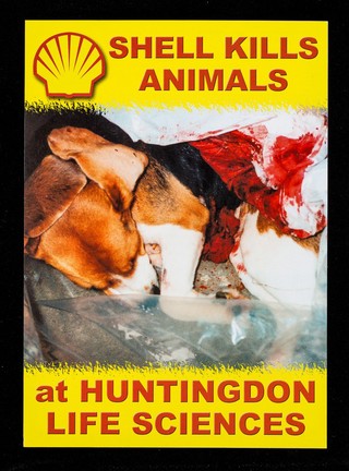 Shell kills animals at Huntingdon Life Sciences / SHAC.