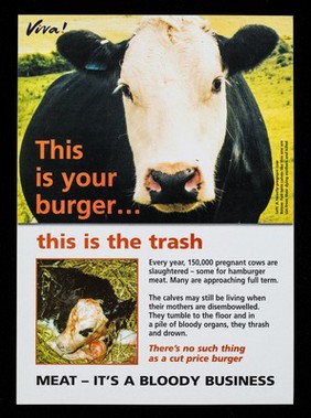 This your burger... this is the trash / Viva!.