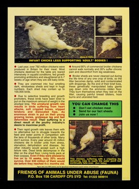 Crippled by the system : intensively reared chickens, dying and deformed! / Friends of Animals Under Abuse (FAUNA).