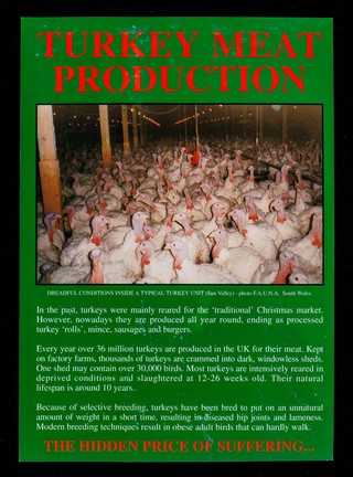 Turkey meat production... : the hidden price of suffering... / Friends of Animals Under Abuse (FAUNA).