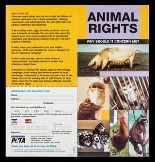 Animal rights : why should it concern me? / People for the Ethical Treatment of Animals.