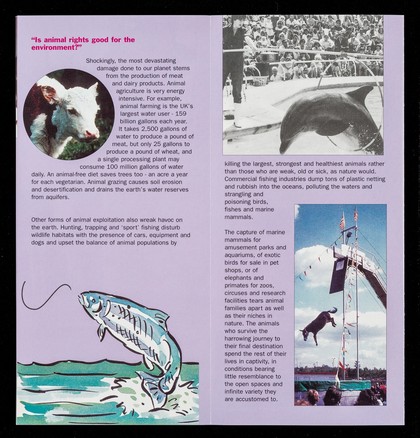 Animal rights : why should it concern me? / People for the Ethical Treatment of Animals.