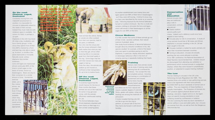 Circus madness / Animal Defenders.