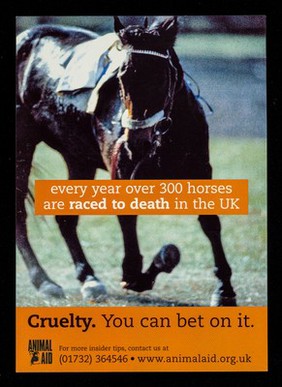 Every year over 300 horses are raced to death in the UK : cruelty : you can bet on it / Animal Aid.