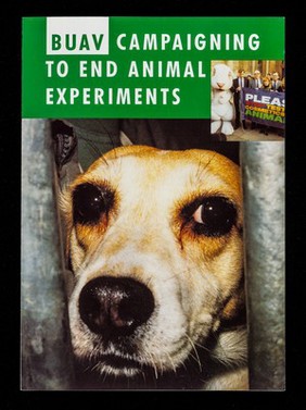 BUAV : campaigning to end animal experiments / British Union for the Abolition of Vivisection.