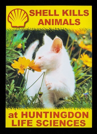 Shell kills animals at Huntingdon Life sciences / SHAC.