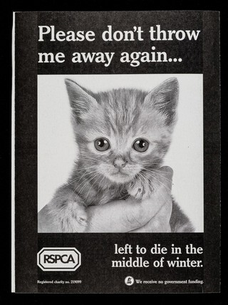 Please don't throw us away again... : stuffed in a bag and left outside a pub / RSPCA.