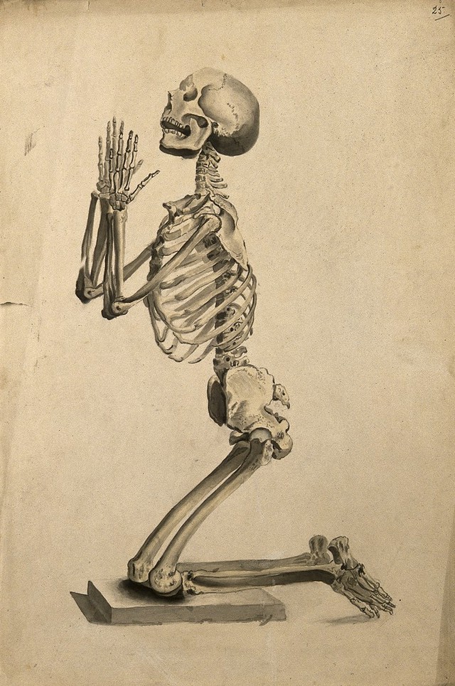 digitised image 1