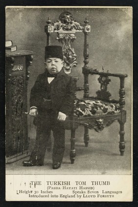 The Turkish Tom Thumb (Pasha Hayati Hassid) : height 30 inches, speaks seven langauges : introduced into England by Lloyd Forsyth.