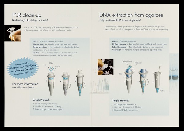 Pure DNA : improve your DNA purification with centrifugal devices from Millipore : Amicon bioseparations / Millipore.