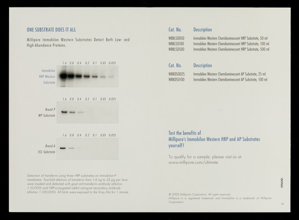 Shouldn't the quality of your pure water be a constant rather than a variable? / Millipore Corporation.