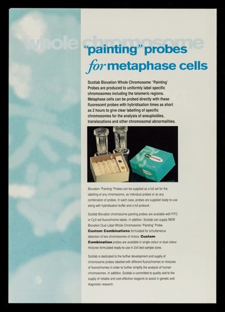 Fluorescent chromosome paints / Scotlab.