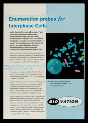 Fluorescent chromosome paints / Scotlab.