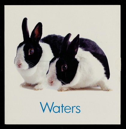 Waters Symmetry : tales of its reproducibility continue... / Waters Corporation.