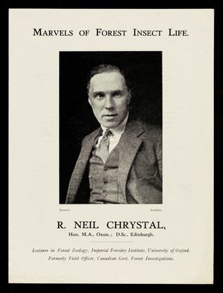 Marvels of forest insect life / R. Neil Chrystal.