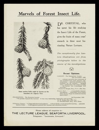 Marvels of forest insect life / R. Neil Chrystal.